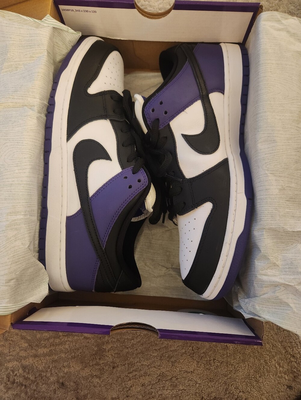 Nike Dunk SB Court Purple